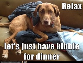 Relax  let's just have kibble for dinner