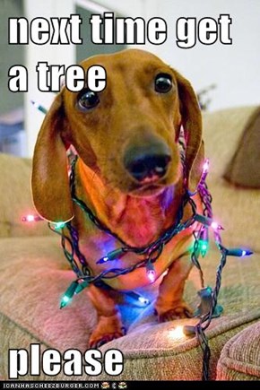 next time get a tree   please