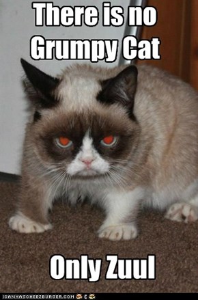 No Grumpy Cat. Only Zuul