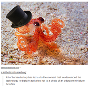 Like a Sir