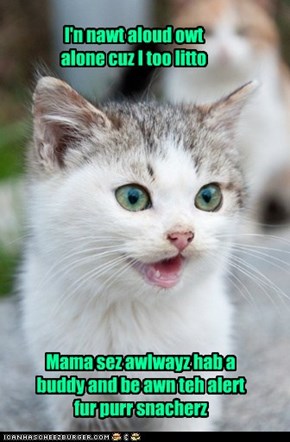 NEBER Leeb Yor Purrz Alone Fur Wun Sekint!
