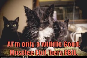 Ai'm only a widdle Good, Mostlee Ebil, bery EBIL.