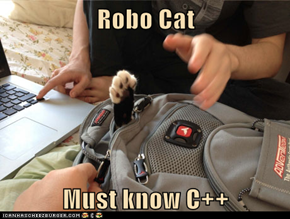 Robo Cat  Must know C++