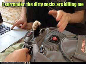 I surrender, the dirty socks are killing me
