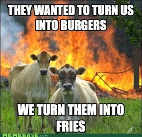 And They Call Us Heifers 