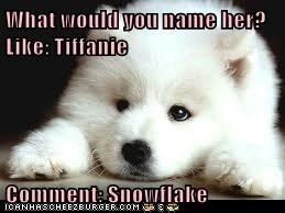 What would you name her?      Like: Tiffanie  Comment: Snowflake