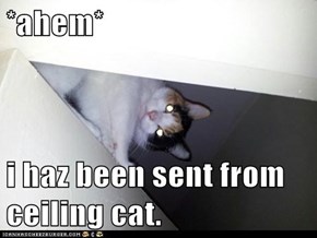 *ahem*  i haz been sent from ceiling cat.