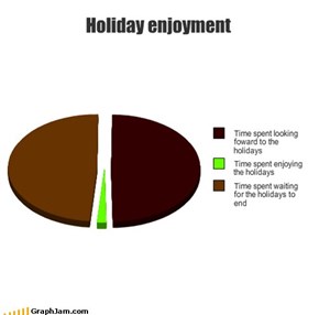 Holiday enjoyment