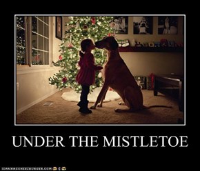 UNDER THE MISTLETOE