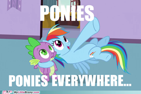 Ponies Everywhere....