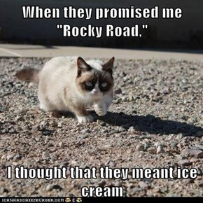 When they promised me "Rocky Road,"  I thought that they meant ice cream