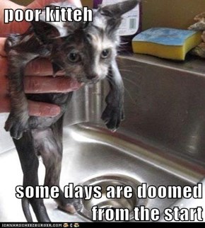 poor kitteh  some days are doomed from the start