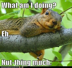 What am I doing? Eh. Nut-thing much.