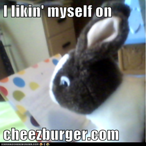 I likin' myself on  cheezburger.com