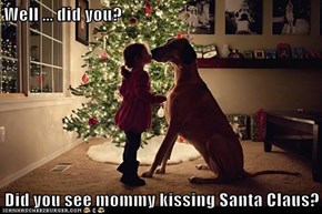 Well ... did you?  Did you see mommy kissing Santa Claus?