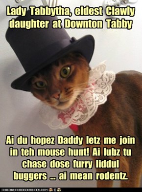 Lady  Tabbytha,  eldest  Clawly daughter  at  Downton  Tabby