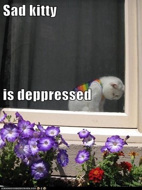 Sad kitty is deppressed