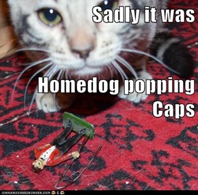 Sadly it was Homedog popping Caps