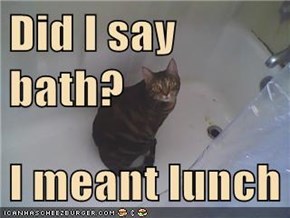 Did I say bath?  I meant lunch