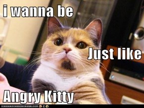 i wanna be Just like Angry Kitty