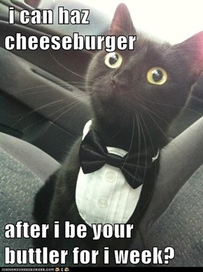 i can haz cheeseburger  after i be your buttler for i week?