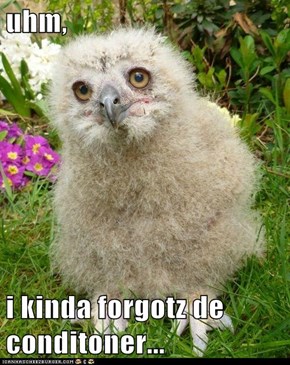 uhm,  i kinda forgotz de conditoner...