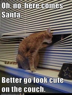 Oh, no, here comes Santa,  Better go look cute on the couch.