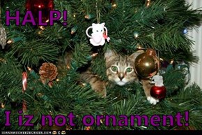 HALP!  I iz not ornament!