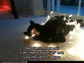 Buyer's Haiku Letter to Santa