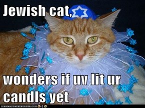 Jewish cat,  wonders if uv lit ur candls yet