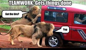 TEAMWORK: Gets things done
