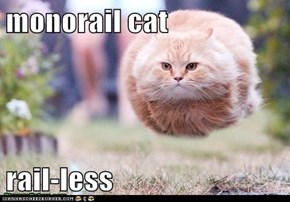 monorail cat  rail-less