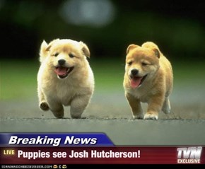 Breaking News - Puppies see Josh Hutcherson!