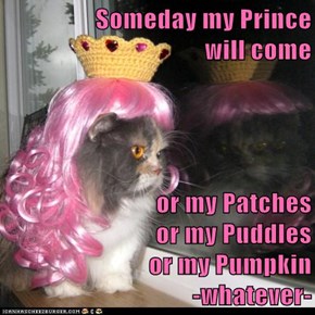 Someday my Prince                                       will come  or my Patches                              or my Puddles                             or my Pumpkin                              -whatever-
