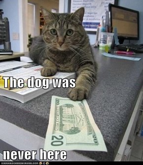 The dog was never here