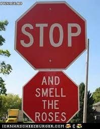 stop...