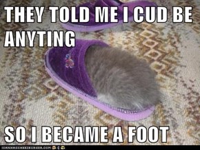 THEY TOLD ME I CUD BE ANYTING  SO I BECAME A FOOT