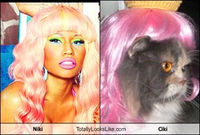 Niki  Totally Looks Like Ciki