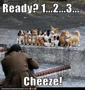 Ready? 1...2...3...  Cheeze!
