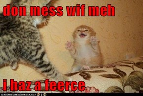 Lolcats: don mess wif meh 