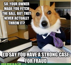 Lawyer Dog Holds This Ball in Contempt