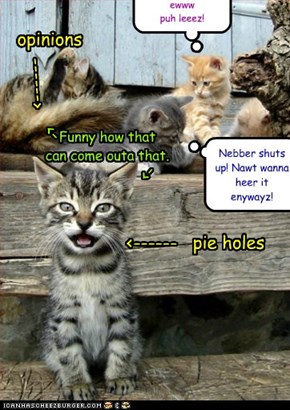 Opinions and Pie Holes