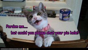 Polite kitty nawt so polite.