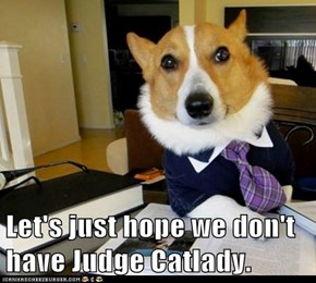Let's just hope we don't have Judge Catlady.
