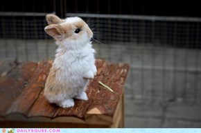 Daily Squee: The View Is Spectacular