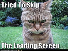 Tried To Skip  The Loading Screen
