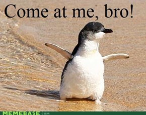 Nobody messes with baby penguins!
