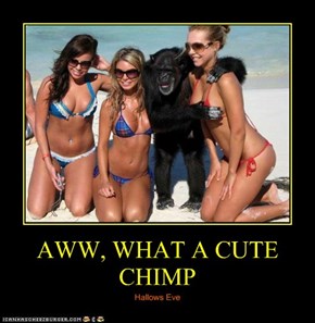 AWW, WHAT A CUTE CHIMP