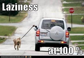 Laziness  at 100 %