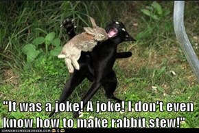Lolcats: "It was a joke!"